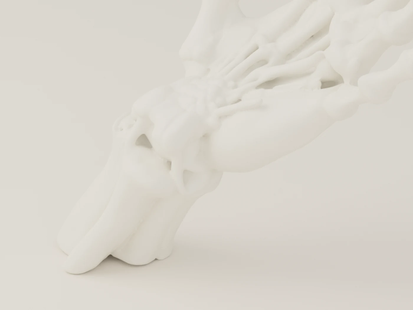 Skeleton Hand