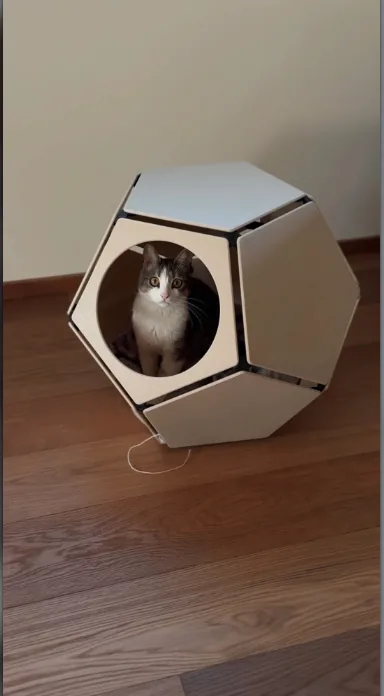 PRR-TAGON Pet Bed view 3